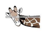 Giraffe Animal Africa Long Neck Safari Animals Close-up Bizarre Staring Tall High .EPS .PNG Vector Clipart Not for Cutting