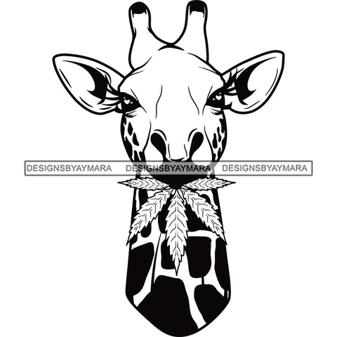 Giraffe Graphic Clipart In BW SVG JPG PNG Vector Clipart Cricut Silhouette Cut Cutting1