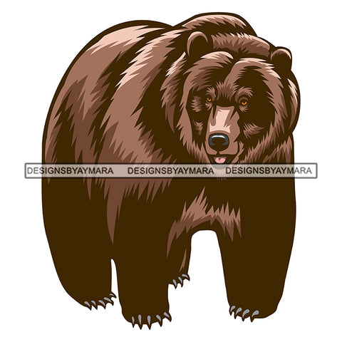 Big Bear Full Body Mammal Animal Wild Power Nature SVG PNG JPG Cut Files For Silhouette Cricut and More!