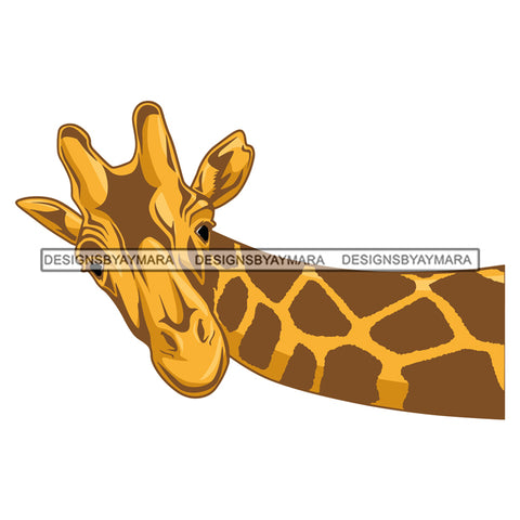 Giraffe Graphic Clipart SVG JPG PNG Vector Clipart Cricut Silhouette Cut Cutting1
